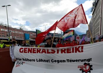 Organisierung der österreichischen Arbeiterklasse